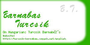 barnabas turcsik business card